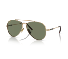 Ray-Ban RB 8225 313852 - Gold